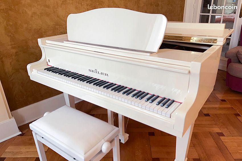Piano à queue 3
